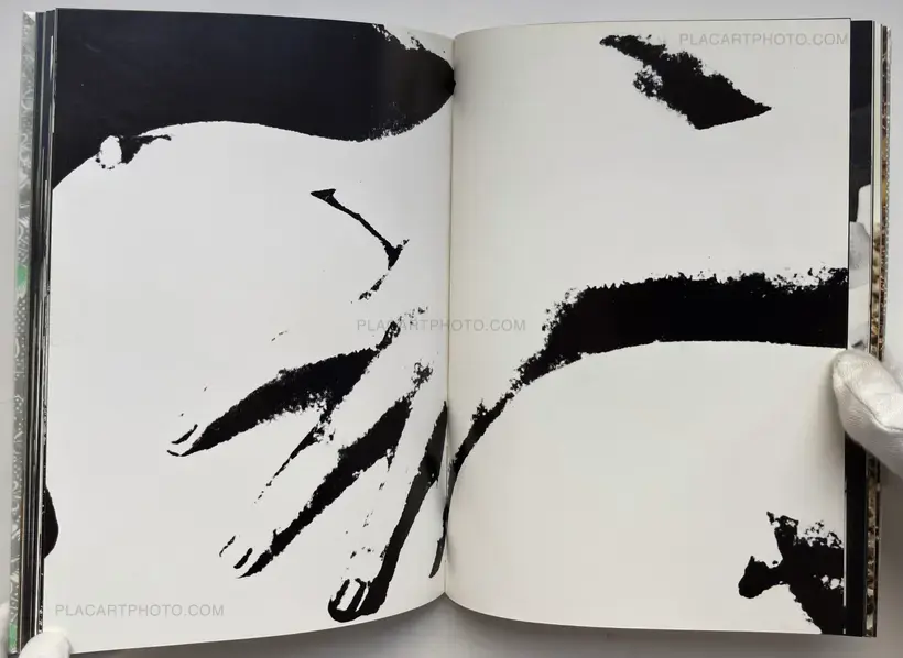 Yasuhiro Yoshioka – The garden of Sodom
