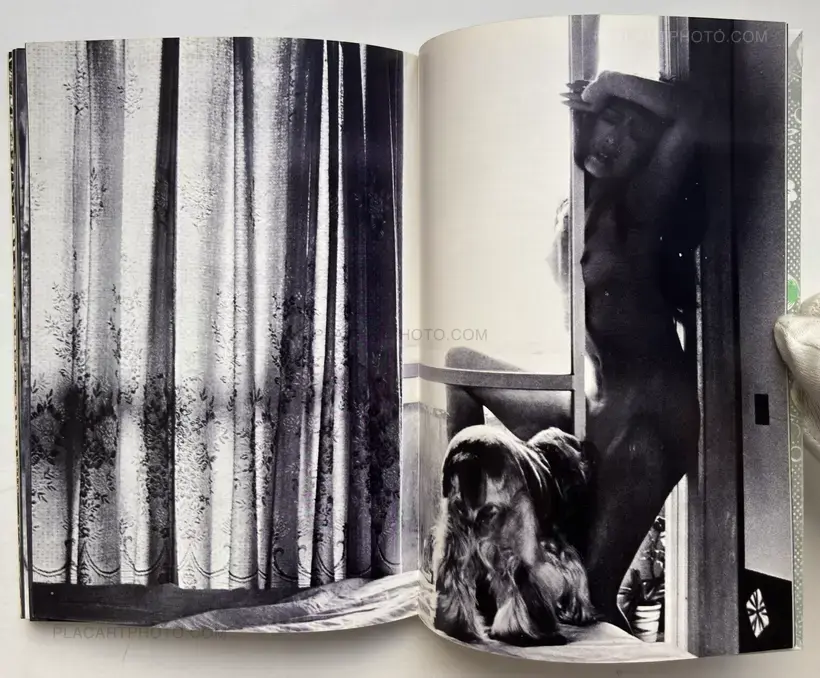 Yasuhiro Yoshioka – The garden of Sodom