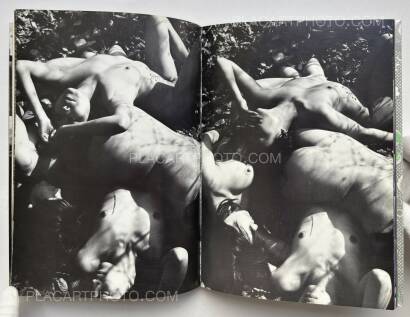 Yasuhiro Yoshioka ,The garden of Sodom
