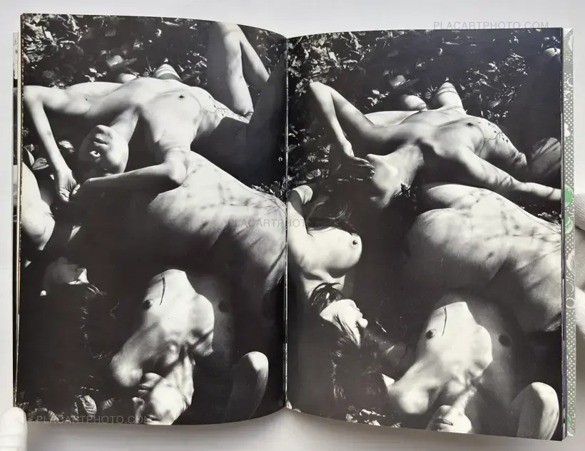 Yasuhiro Yoshioka – The garden of Sodom