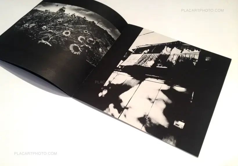 Collective – Ryusei hanabi