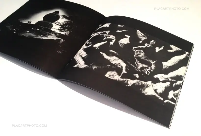 Collective – Ryusei hanabi