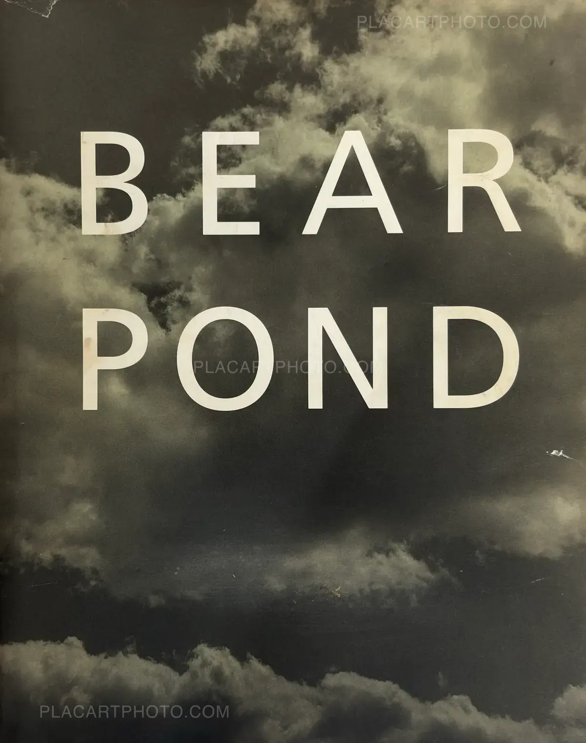 Bruce Weber, Bear Pond, Bulfinch Press. Little, Brown and Company