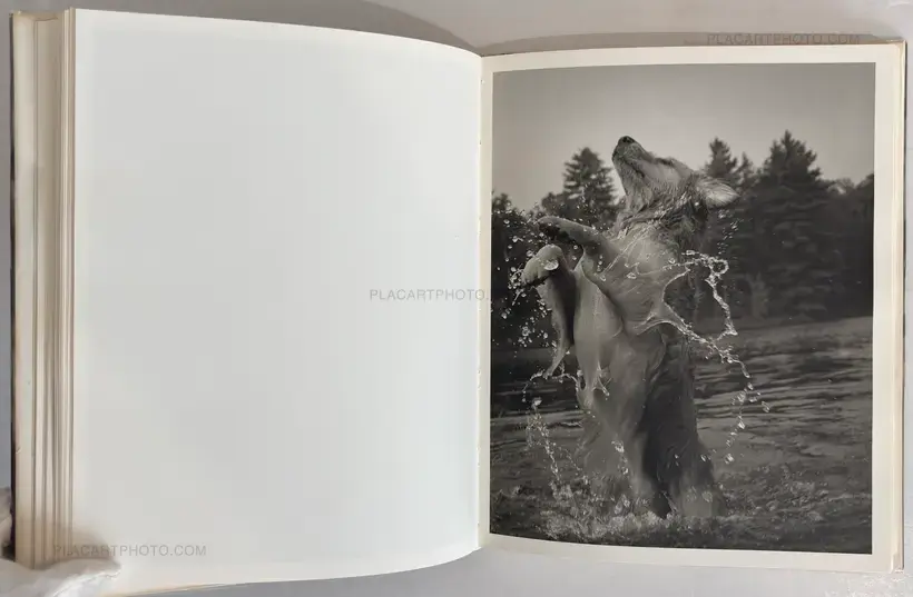 Bruce Weber – Bear Pond
