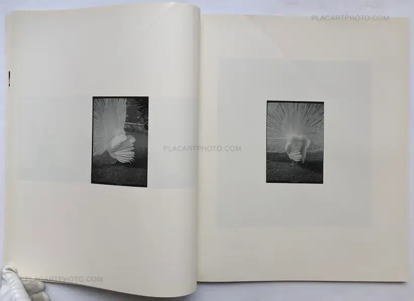 Various photographers – Hysteric: Untitled no.5 (1)
