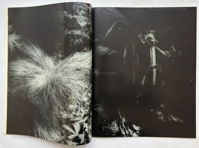 Various photographers – Hysteric: Untitled no.5 (1)