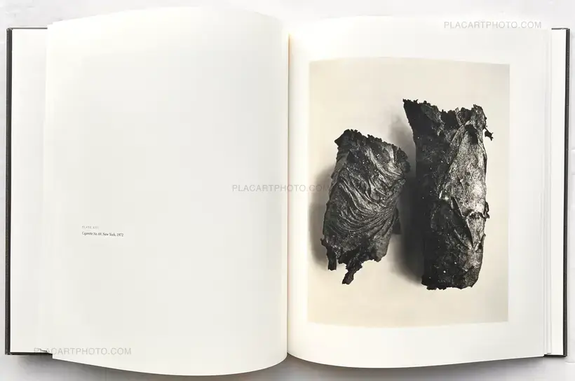 Irving Penn – CIGARETTES