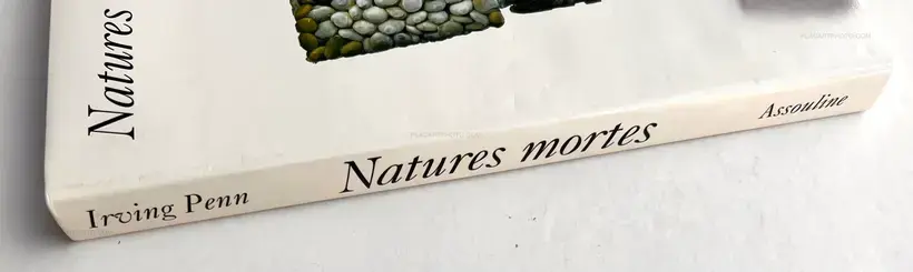 Irving Penn – NATURES MORTES