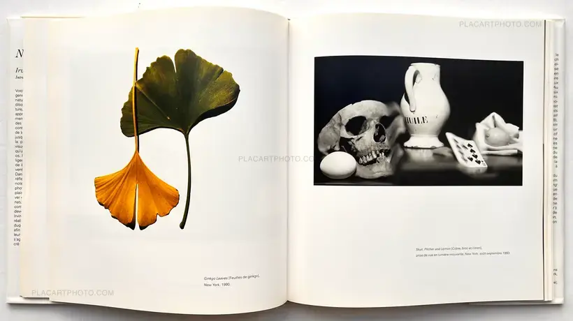 Irving Penn – NATURES MORTES