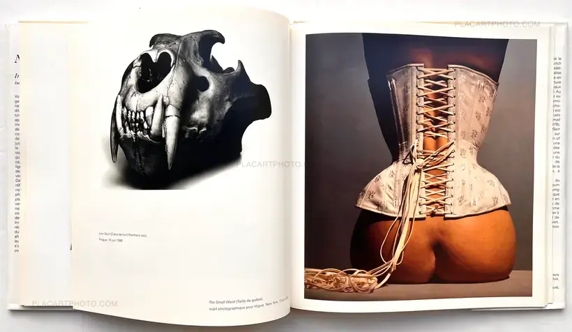 Irving Penn – NATURES MORTES