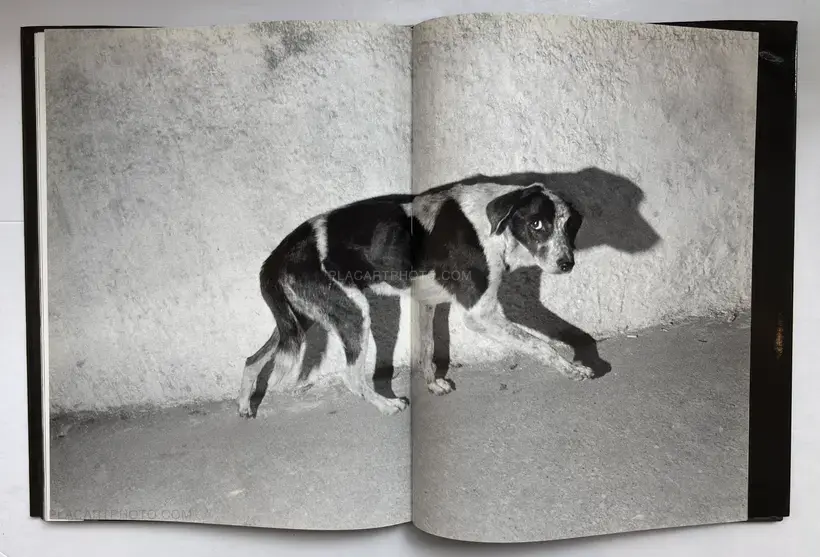 Bruce Gilden – Haiti