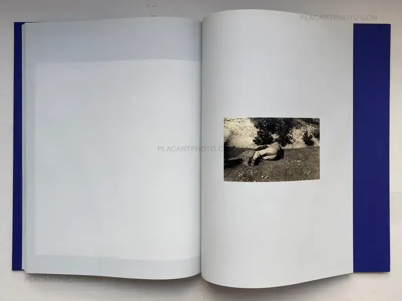 Isabelle Evertse – Anthropoides Paradiseus