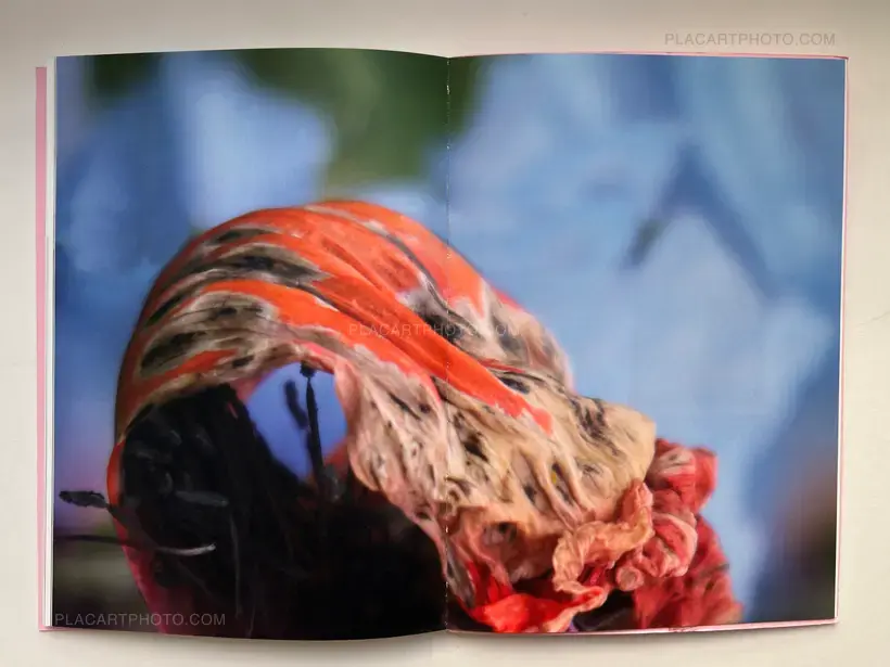 Isabel Codina – A Room In Iceland: a non-landscape book (SIGNED)