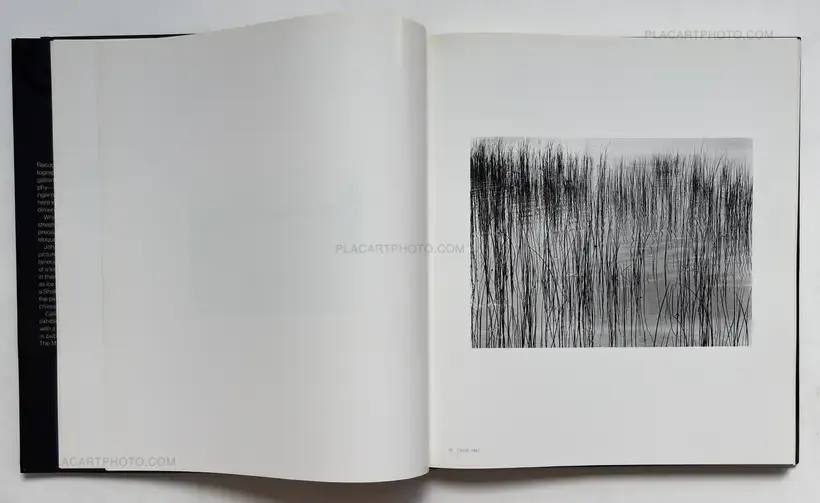 Harry Callahan – Callahan