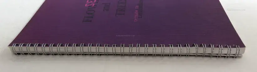 Brigitte Bauer – Seoul Flowers and Trees (EDT OF 100 SIGNED)
