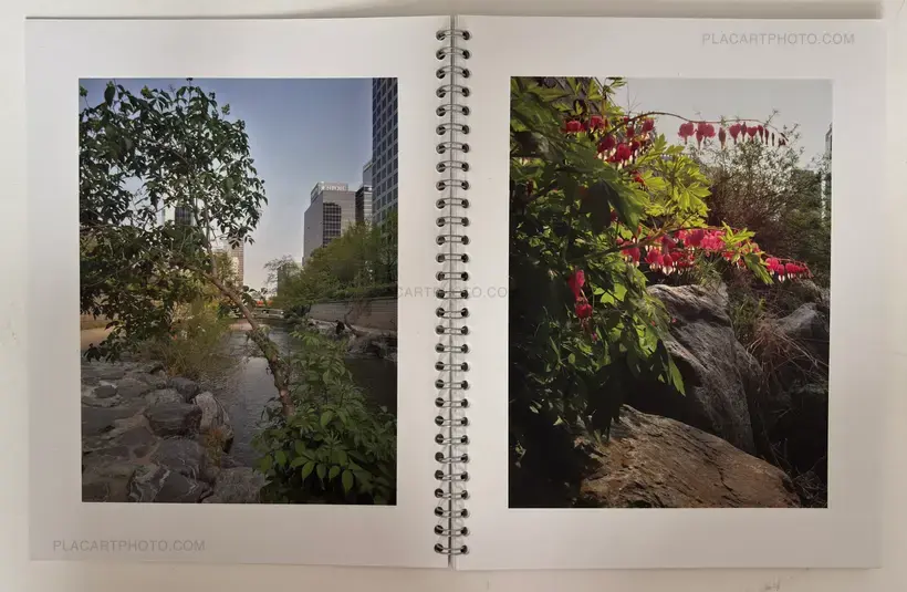Brigitte Bauer – Seoul Flowers and Trees (EDT OF 100 SIGNED)