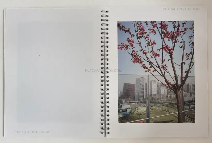 Brigitte Bauer – Seoul Flowers and Trees (EDT OF 100 SIGNED)