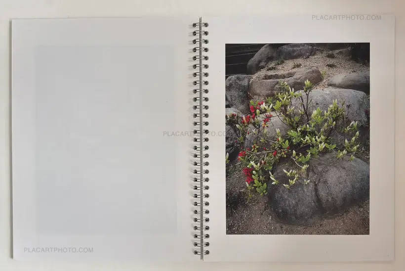 Brigitte Bauer – Seoul Flowers and Trees (EDT OF 100 SIGNED)