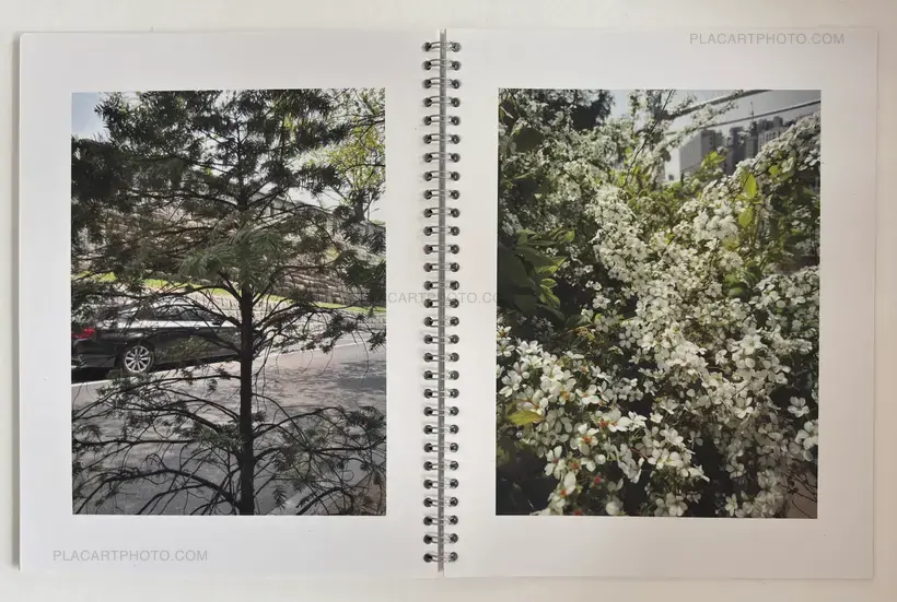 Brigitte Bauer – Seoul Flowers and Trees (EDT OF 100 SIGNED)