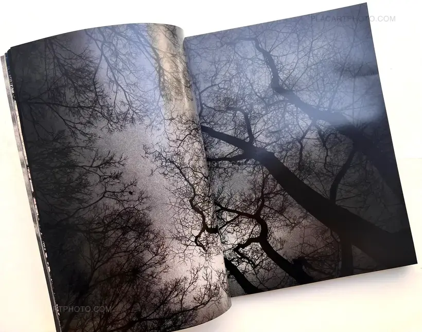 Paolo Pellegrin – Storm (Signed)