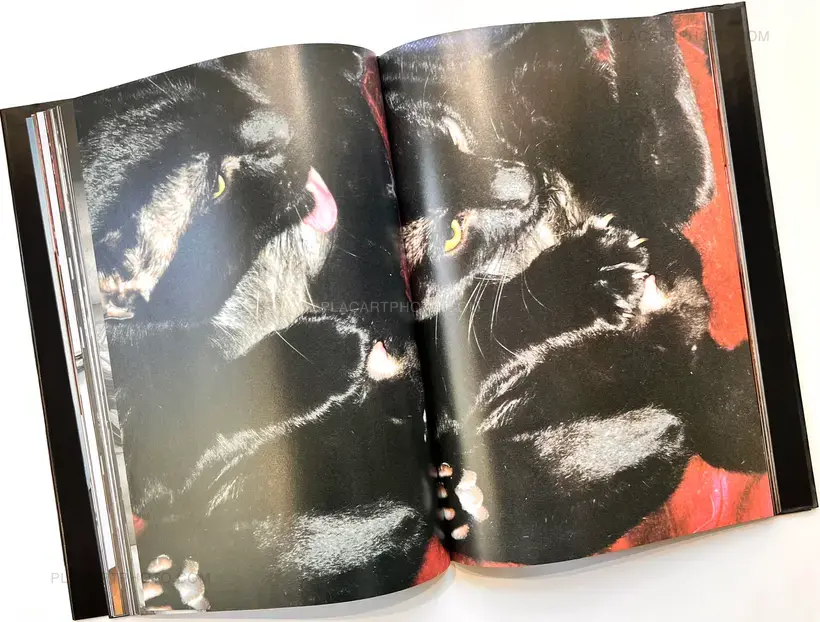 Terry Richardson – terry richardson hysteric glamour