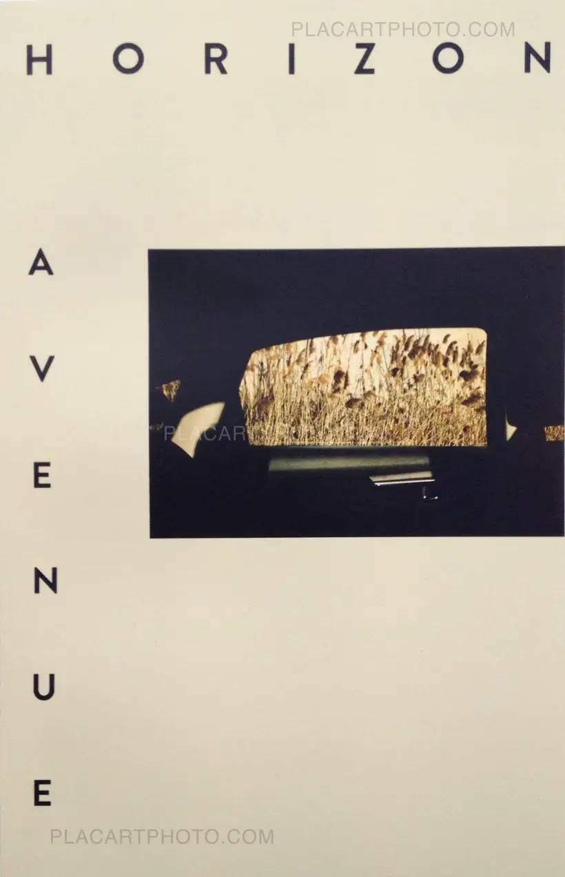 Aaron Stern – Horizon Avenue (Signed with a print)
