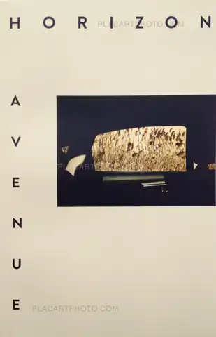 Aaron Stern – Horizon Avenue (Signed with a print)