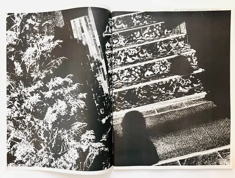Daido Moriyama – Daido Moriyama