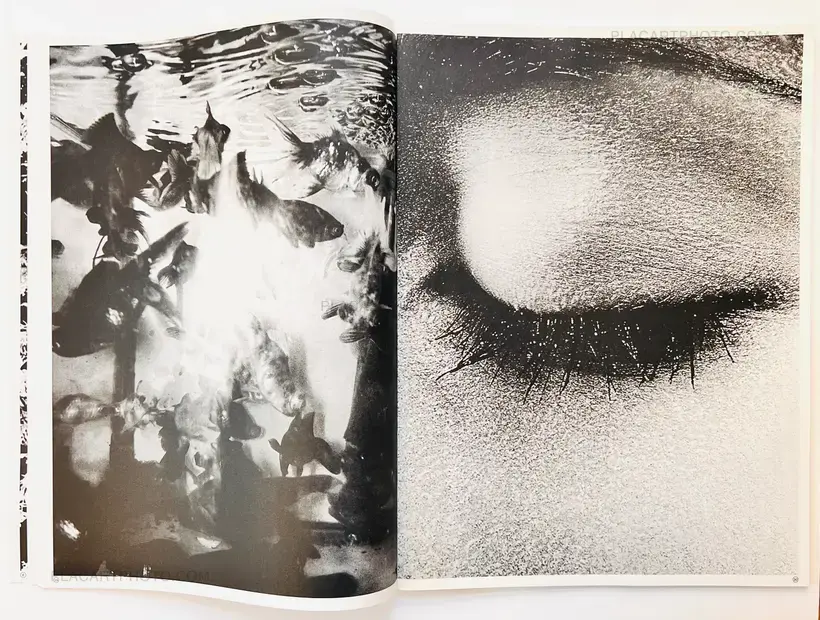 Daido Moriyama – Daido Moriyama