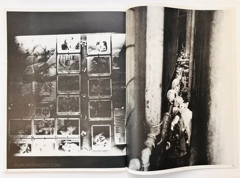 Daido Moriyama – Daido Moriyama