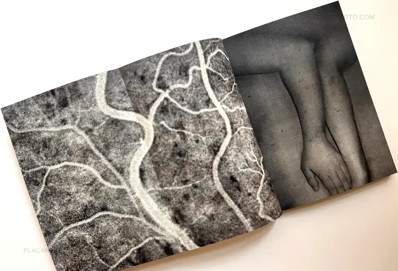 Daisuke Yokota – Sleep, and Its Delay