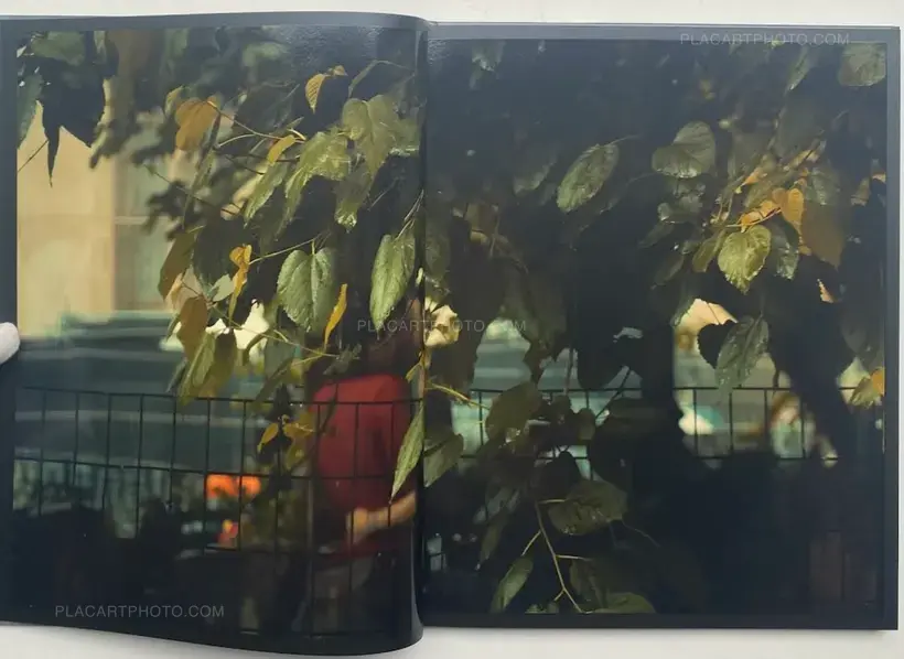 Paola Franqui (Monaris) – Momentos