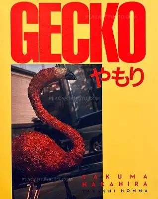 Various photographers – Gecko / Yamori