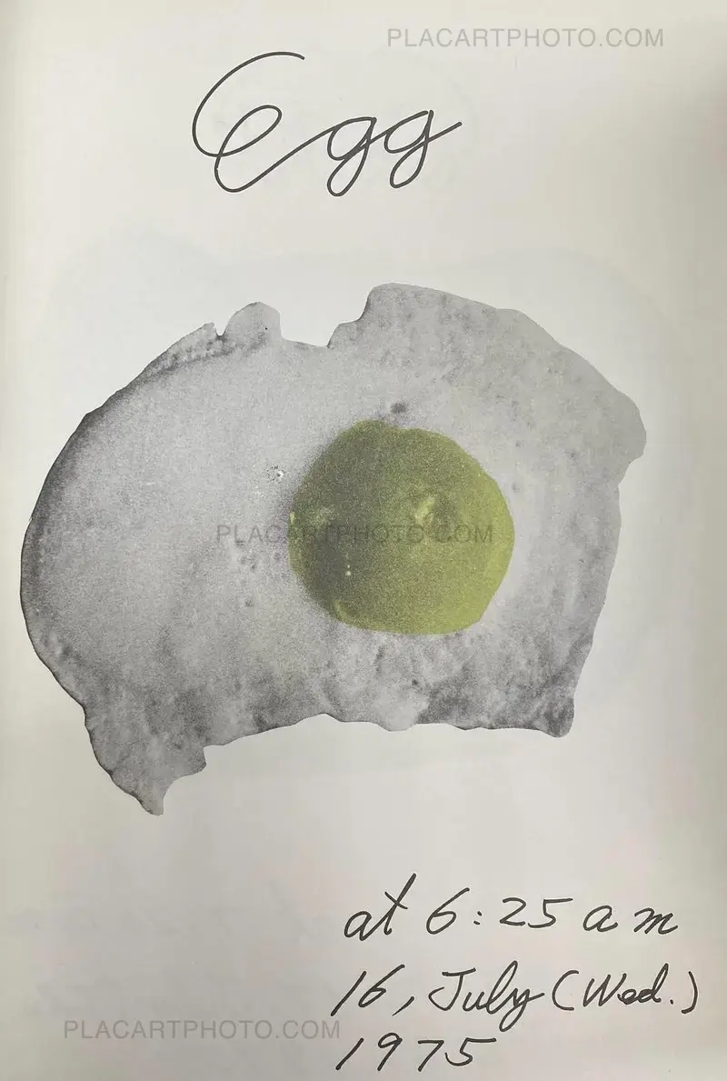 Kowa Kato Egg (1975)