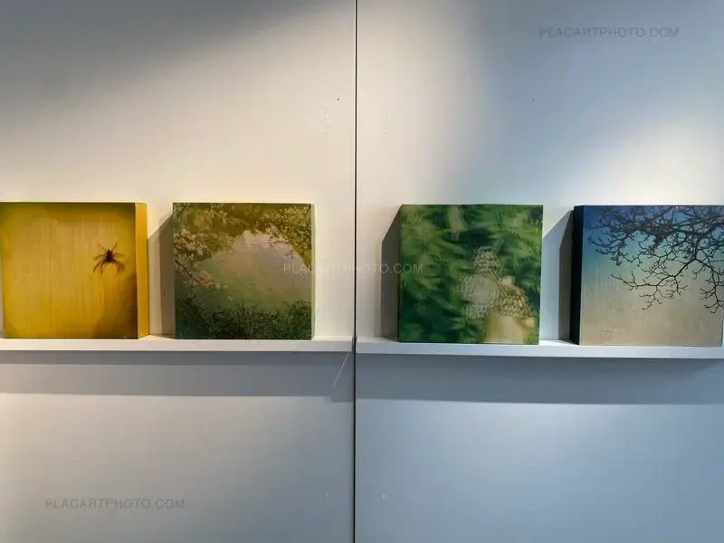 Installation shot