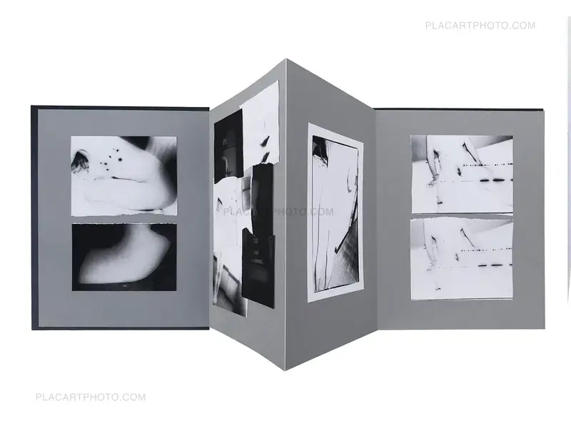 Présentation des livres d'artiste et des collages d'Olivier Pin-Fat