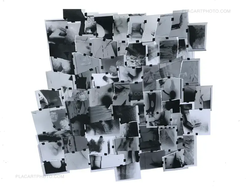 Présentation des livres d'artiste et des collages d'Olivier Pin-Fat