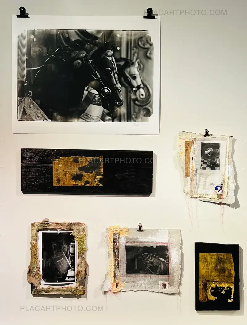 VERNISSAGE CE JEUDI 13 MARS - EXPOSITION "SILENCIEUX" PAR L'ARTISTE SHASHINKAN GELATIN