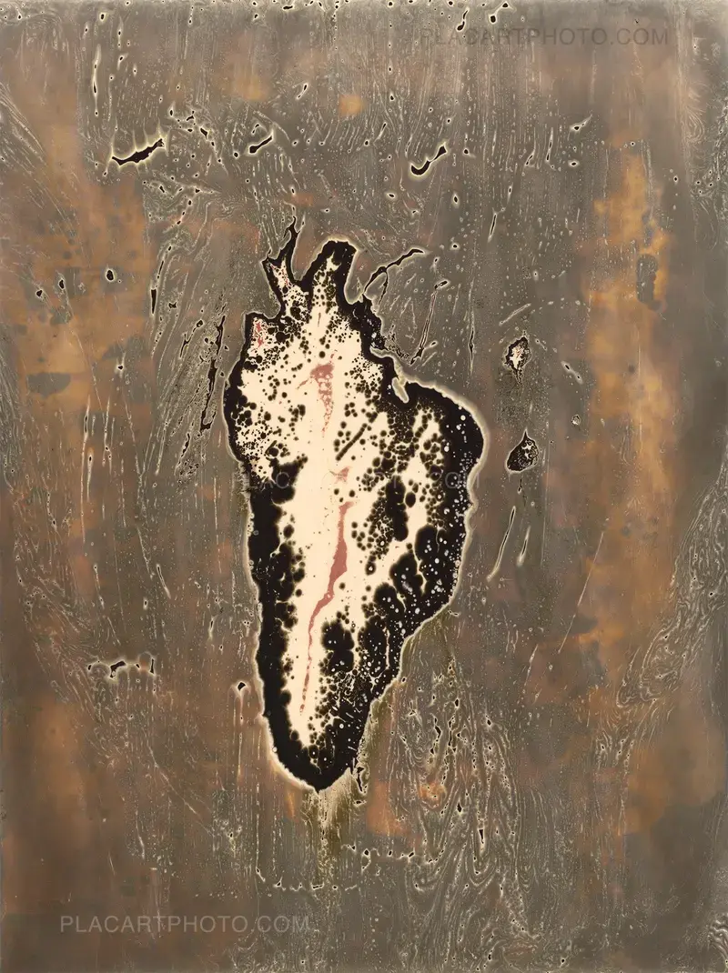 Fanny Béguély
26 mars 2017
Chimigramme
30 x 40 cm, papier forte
Tirage unique