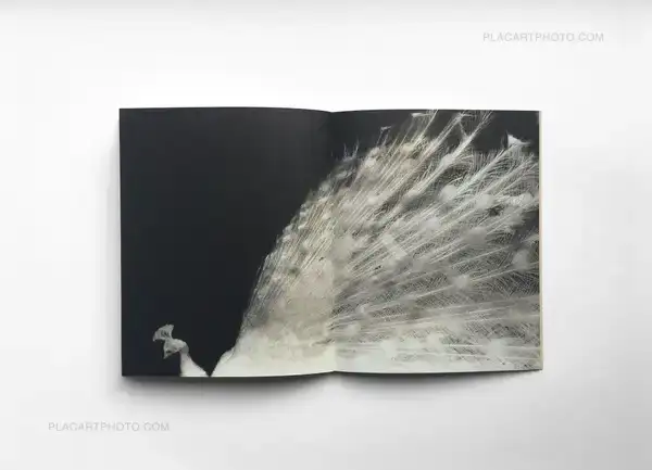 Rencontre avec Miho Kajioka et Ivan Alechine autour de leurs dernières publications